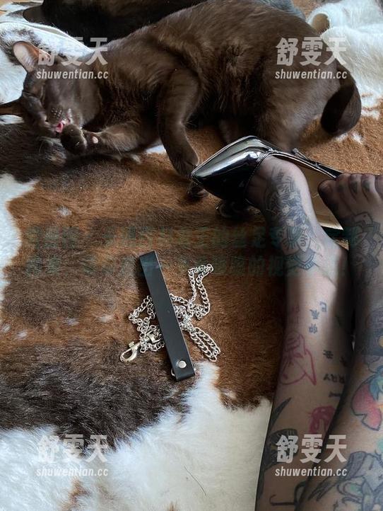 卡通百科老王 微密圈 - 卡通百科老王的丝足专享:定制图集,带你走出一条香喷喷的视觉小道!